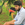 Naresh Kumar