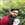 Akshay Yadav