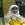 Rukhsar Shakir