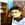 Aloke Roy