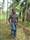 Rachit Jain