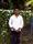 Sushil Bhaskar Pawar