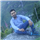 Ashish Bansal