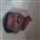 John Jacob