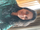 Nitya Nity
