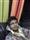 Zeeshan Alam