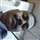 Uday Bhushan