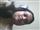 Twisha Basak