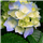Karthikeyan R