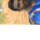 Sujay Kumar