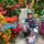 Suraj Narayan Lande