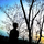 Deep Dulal Debnath