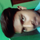 Arun Kumar Verma