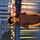 Nilesh D Bisen