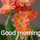 Neha Purushottam Dixit
