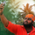 Praveen Francis