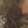 Naima Nahaz