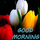 VINITHA V