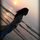 Aayushi Shah