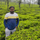 Santhosh K