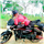 Vijay Gowda