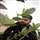 Satinder Pal Singh Gill