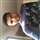 Yash S