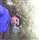 Mohd Aleem