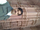 Manish Kumar
