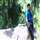 Akash Goyal