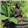 Gayathri Kolla