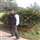 Ashok Kumar
