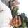 Rajat Pandey