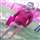 Kuldeep Sharma
