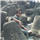 Adarsh Jha