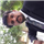 Jayesh Jadav