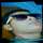 Akash Tanwar