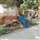 Hriday Koushik