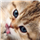 Amritha M H