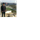 Shivam Garg