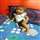 Vinitha K