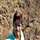 Arvind G Bellulli