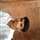Salman Yaseen Mir