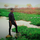Shaik Nadeem