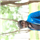Yeshavantha Kumar