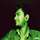 Siddhant Prakash