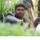 Navin Shankar Koli