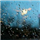 Pavithra  P