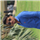 Rohit Avhad
