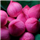 Asha Rathi.M